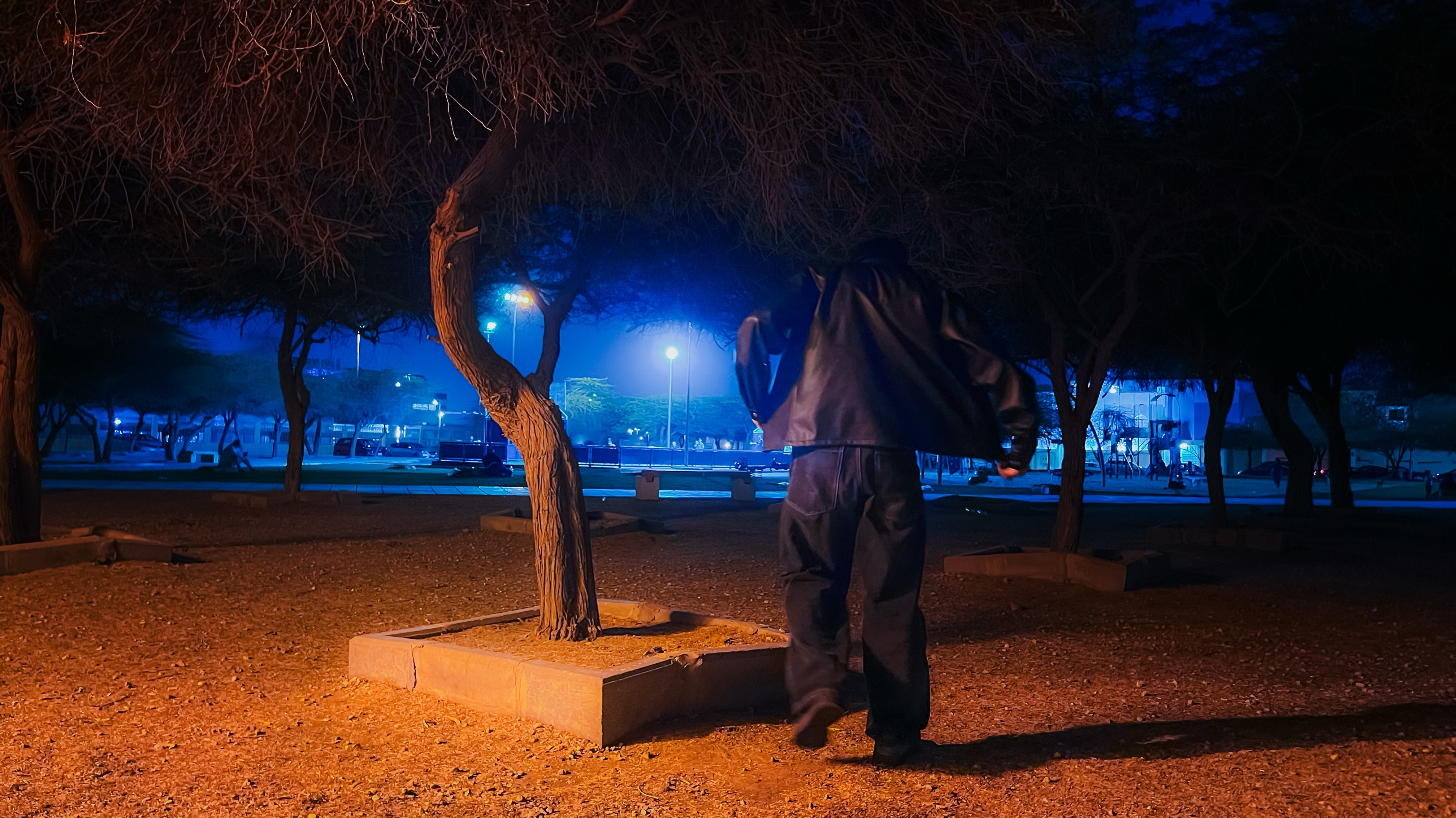 Night Wanderer